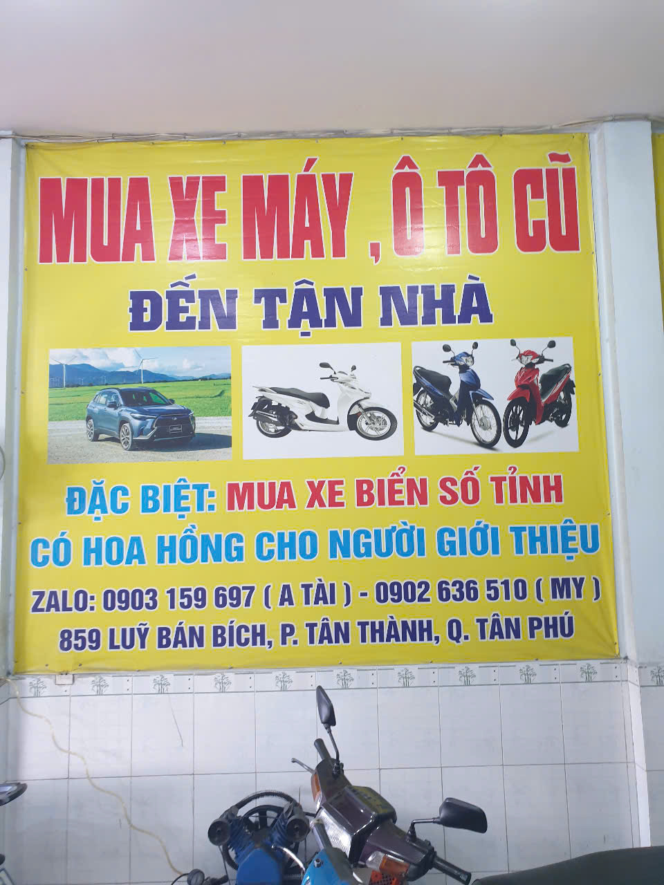 Hình 3